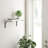 Fluid Curved Shelf Brackets-58955814