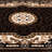 Oriental Indoor Rug