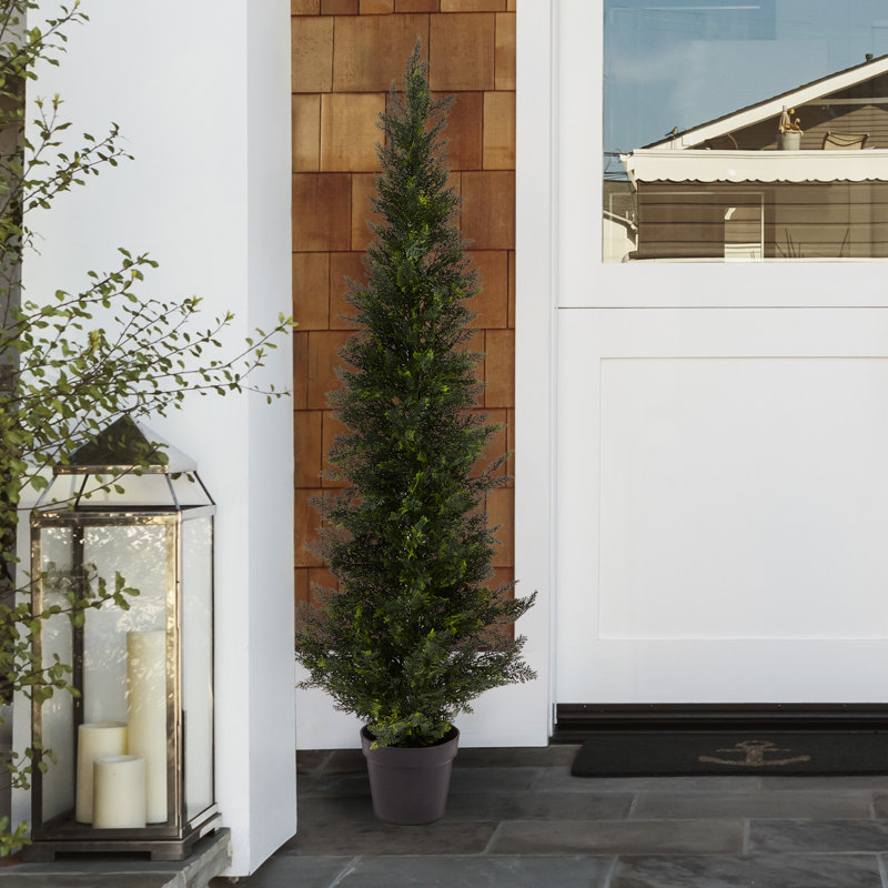 5-Foot-Tall Artificial Cedar Topiary Trees- Potted Indoor or Outdoor UV Protection Plastic Tree in Pot for Home or Office