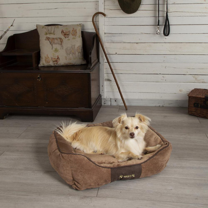Chester Polyester Pet Bed, Chocolate/Tan, 19cm H x 75cm W x 60cm D