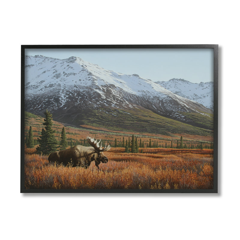 "Stupell Industries Moose", paysage d'art montagnard sur toile par Clinton Jammer, Giclée encadrée noir minuit