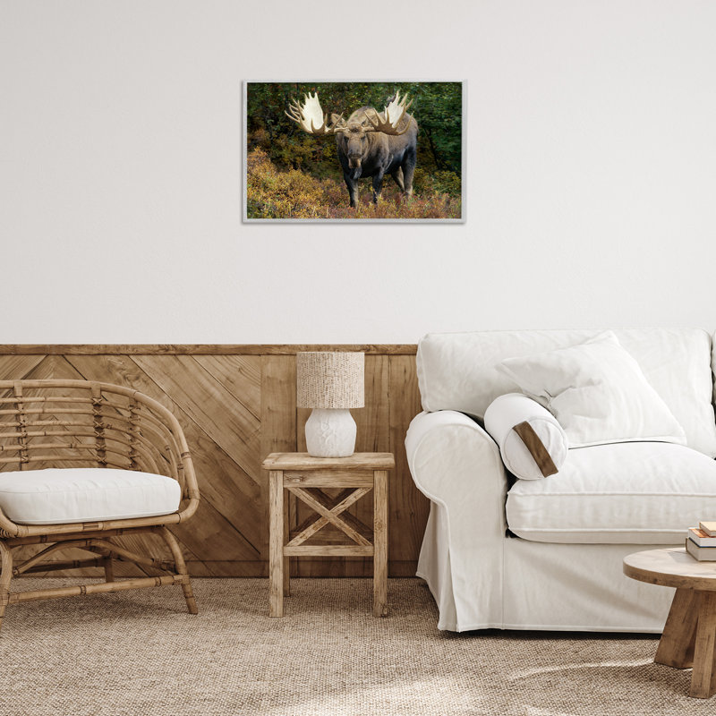 «Bull Moose Face Off Giclee» par Shane Lamb, Estampe numérique Farmhouse, H 16 po x l 24 po
