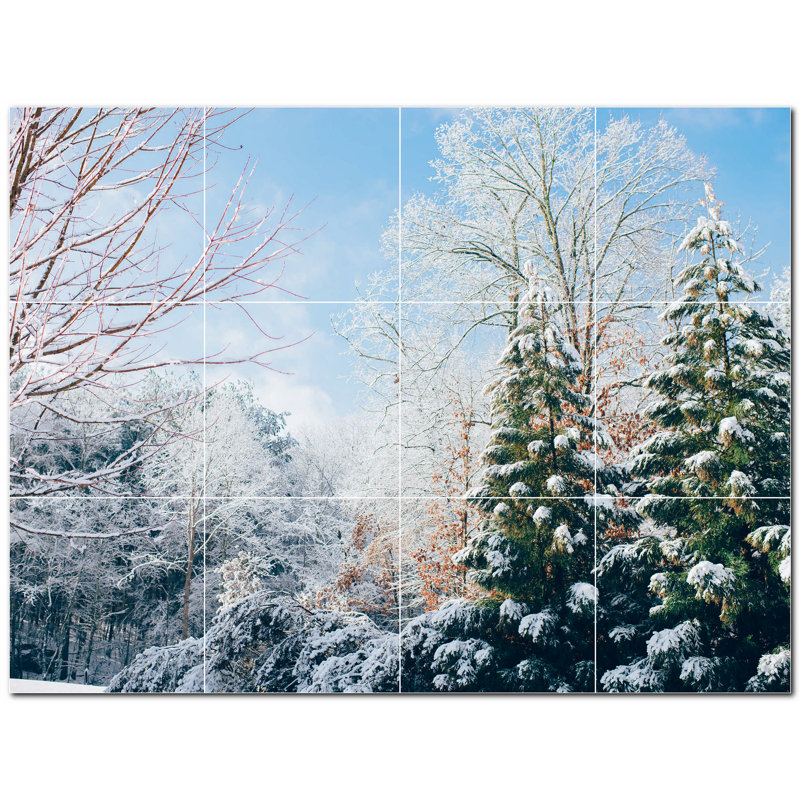 Photo d'hiver 12 x 12