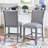 Ashvini 25" Counter Stool