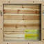 Parvez Taj - No Frame Painting on Wood-23081993
