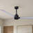 Alessandra 56'' Ceiling Fan-1813772010-1813771988