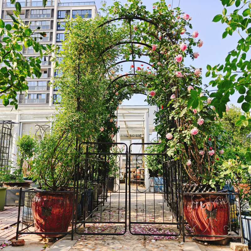 Metal Garden Arch Climbing Plants, H 86,6 po x l 79,5 po x P 19,7 po