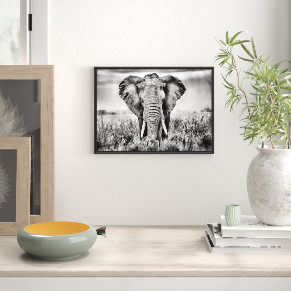 Gerahmtes Wandbild Imposanter Elefant