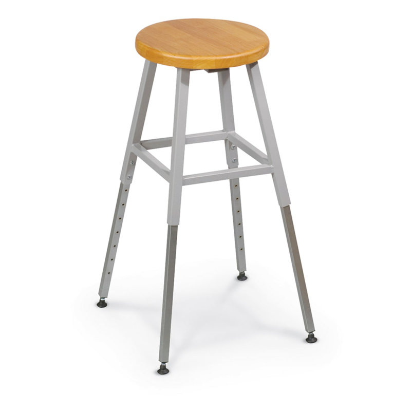 Lab Adjustable Height Lab Stool with Footrest, Gray