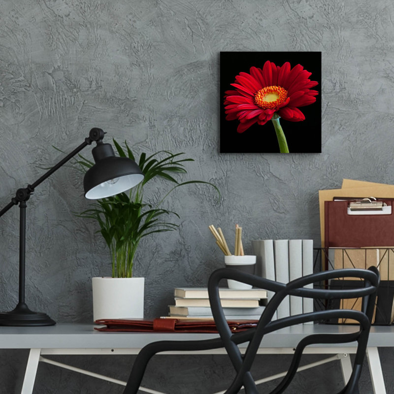 "Red Gerbera On Black 01" par Tom Quartermaine, H 12 po x l 12 po x P 0,13 po
