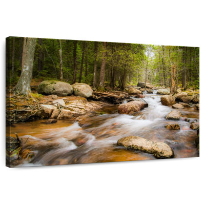 Alvord Acadia Spring Stream