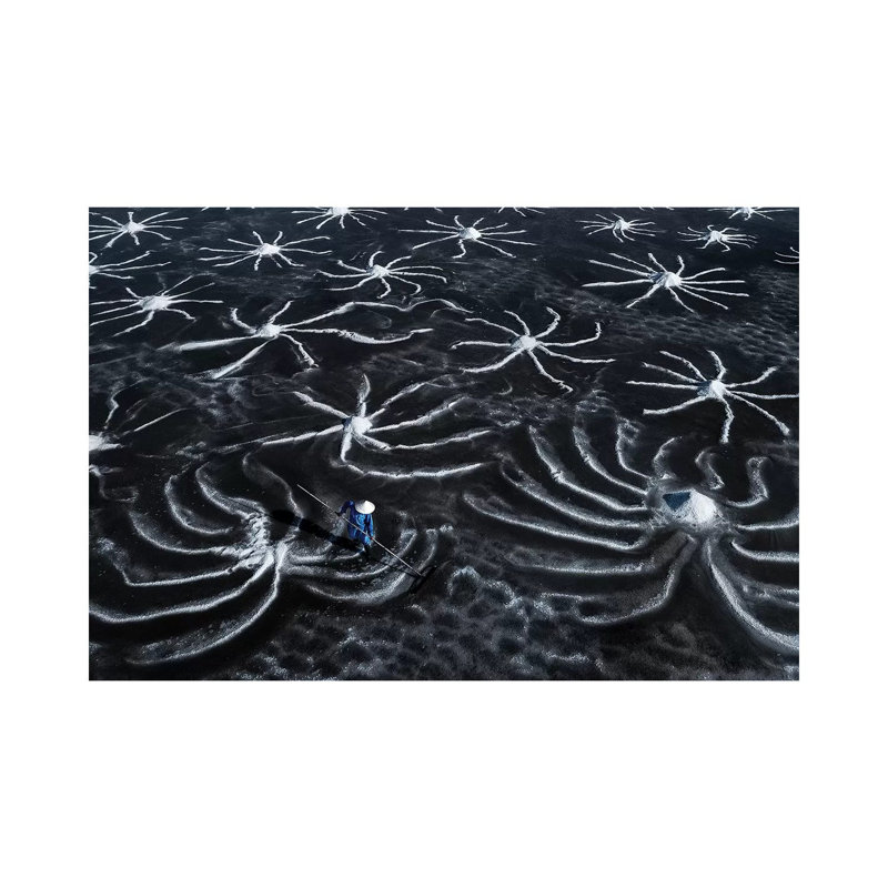 Salt Field by Trung Pham - Gallery-Wrapped Canvas Giclée on Canvas, Canvas, 20.32 cm H x 30.48 cm W