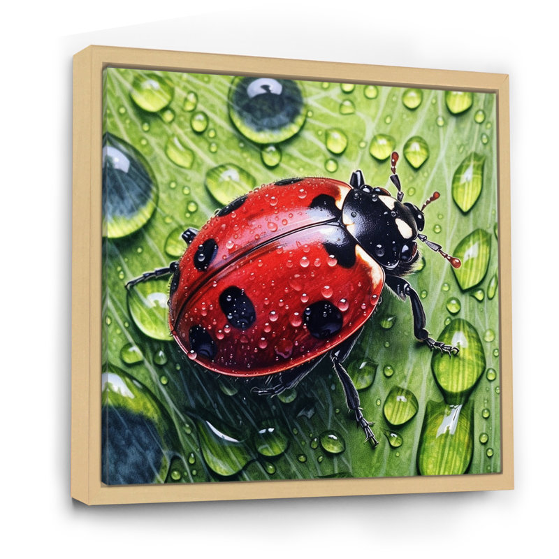 Coccinelles rouges et noires II sur toile, H 24 po x l 24 po x P 1 po, Cadre naturel flottant