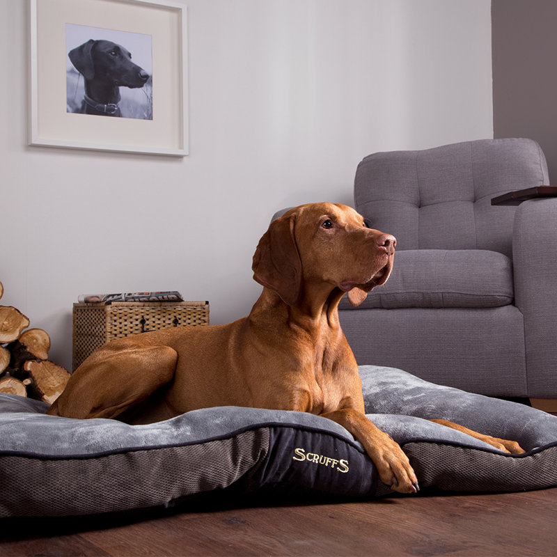 Chester Polyester Pet Bed, Graphite/Grey