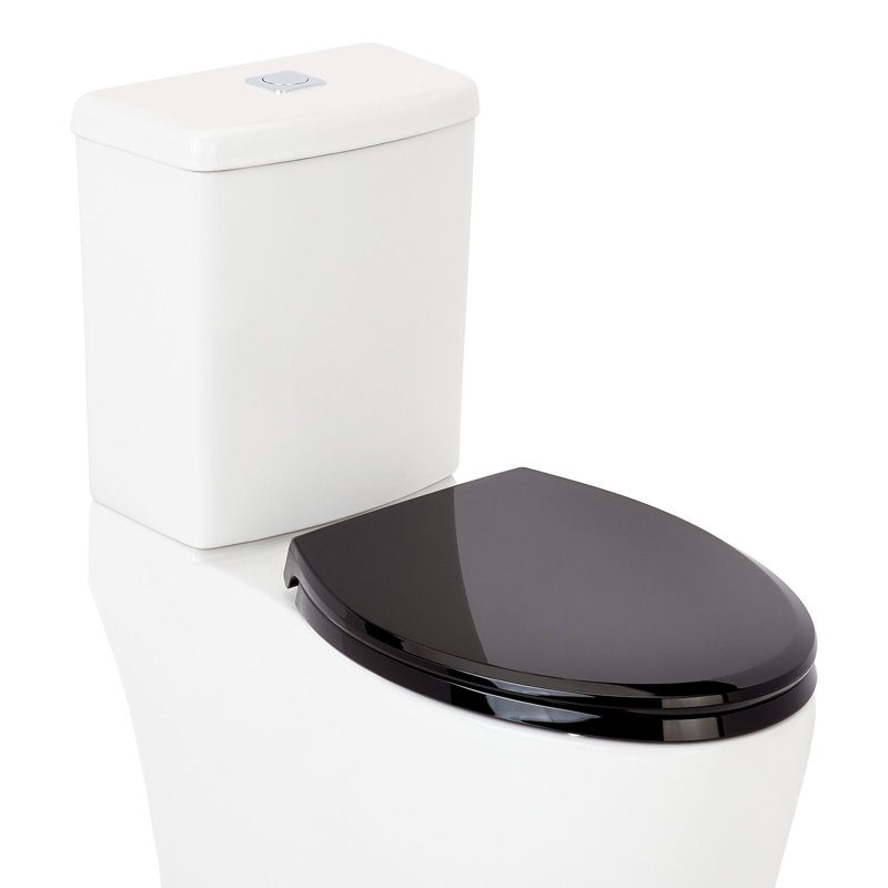 Heavy Duty Slow-Closing Elongated Toilet Seat - Black, Black