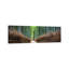Arashiyama Bamboo Forest by Jan Becke - Wrapped Canvas Panoramic Gallery-Wrapped Canvas Giclée-1449570431