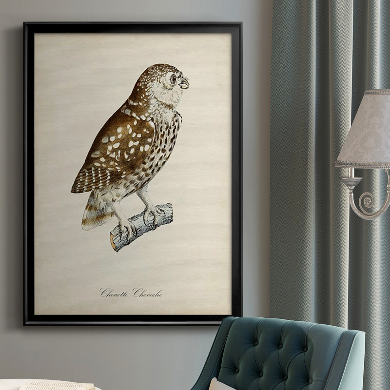 «French Owls I», impression sur papier, Noir, H 36,5 po x l 26,5 po x P 1 po