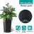 2 Pack Tall 21.7 in Dorota for Outdoor and Indoor Use, Modern Square Design with UV and Crack-Resistant Features, Perfect for Large Plants and Trees-1388231668