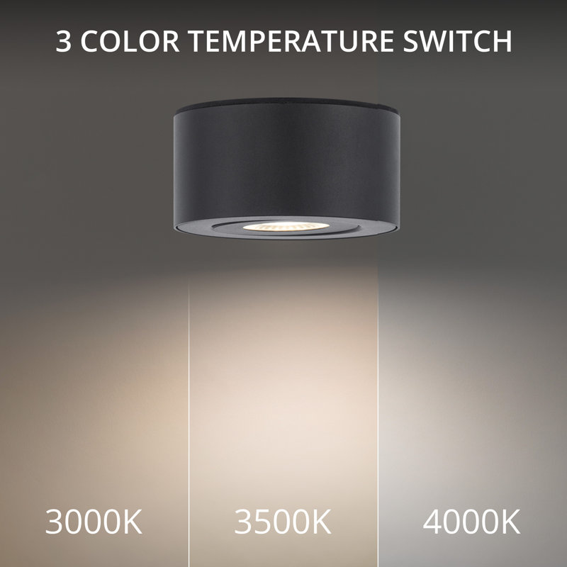 I Spy Sleek Black LED Outdoor Flush Mount Light