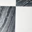Thassos White Marble 12 in. x 12 in. Marble Tile