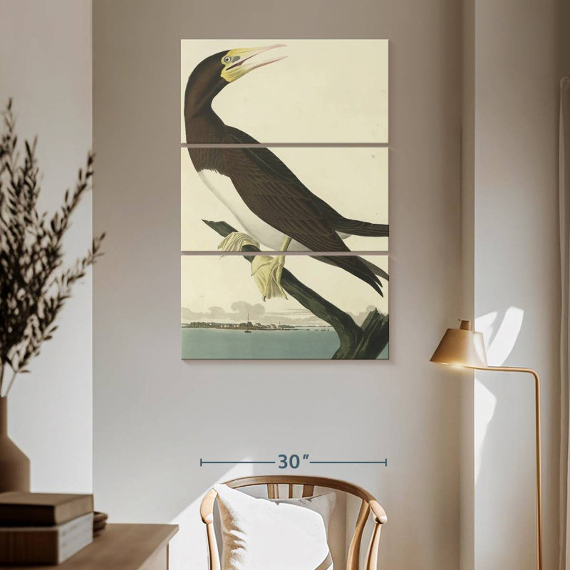 Brampt Booby Gannet, 65" H x 42" W