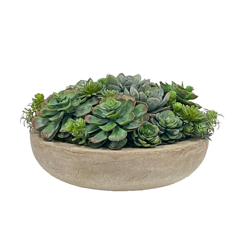 Plante grasse artificielle en pot 7 po
