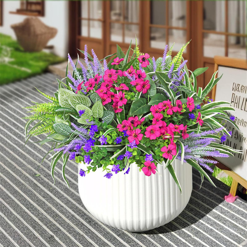 37cm Plant