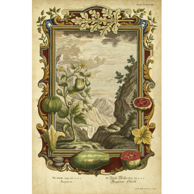 Genesis Fruits II - Wrapped Canvas Painting