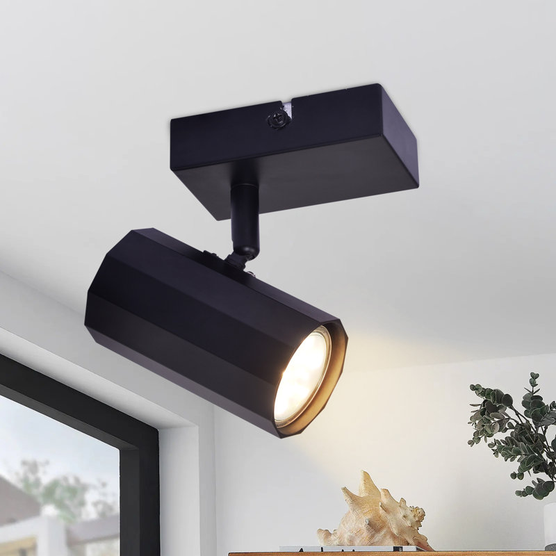 Akey Spotlight
