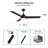 Derf 52 Pull Chain Ceiling Fan with Light