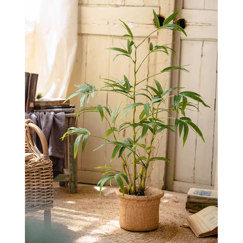 Simulation de gourde verte