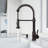 Edison 19" H 1-handle Pull-Down 2-Function Sprayer Kitchen Faucet-25293737-28294596
