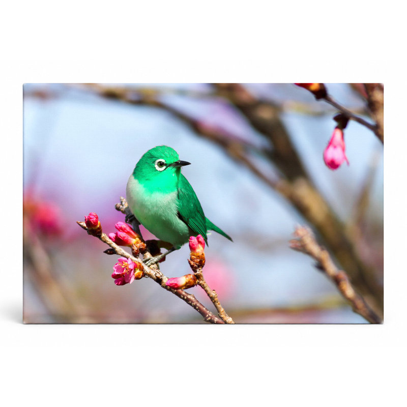 «Green Bird on Blossom Branch», art mural sur toile, 18" W x 12" H