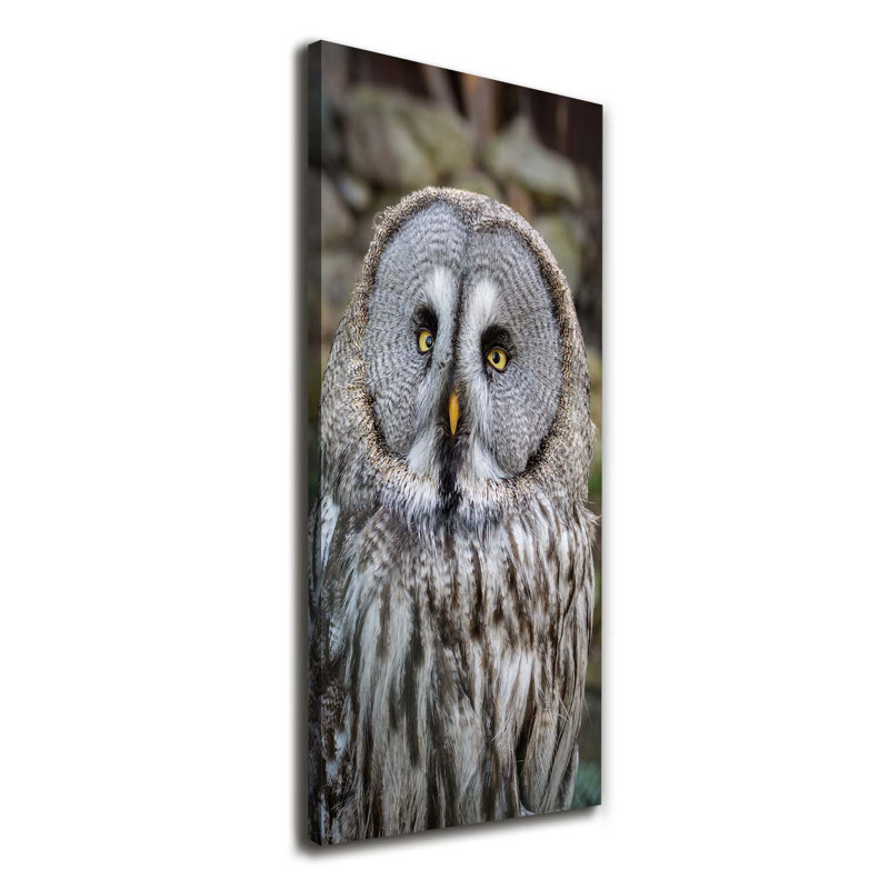 Owl - Wrapped Canvas Print