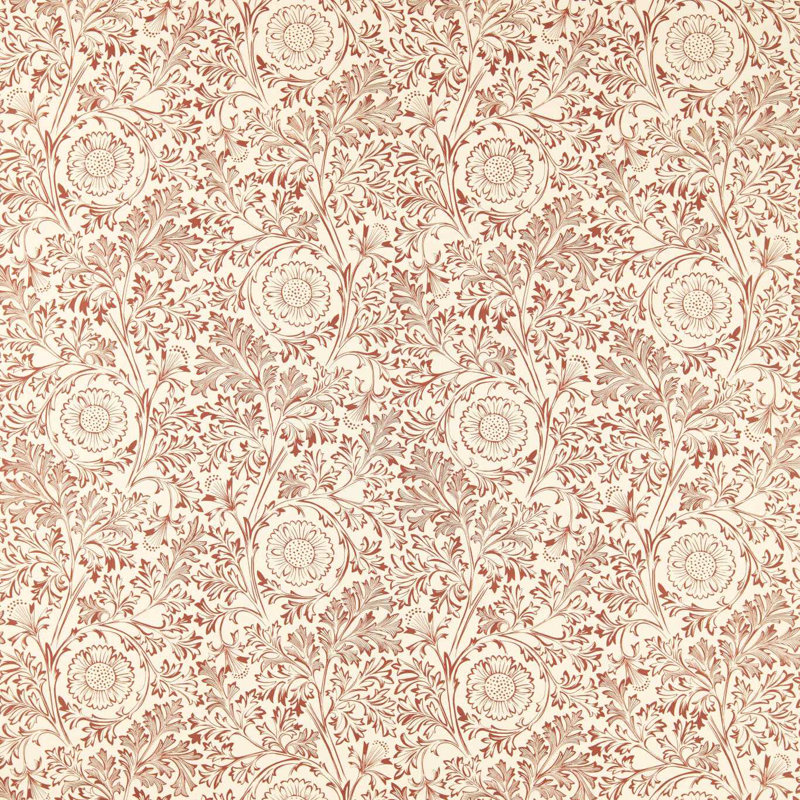 Chamomile, Russet