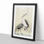 Two Herons in the Rain by Ohara Koson - Picture Frame Painting Print-55614650-55614653