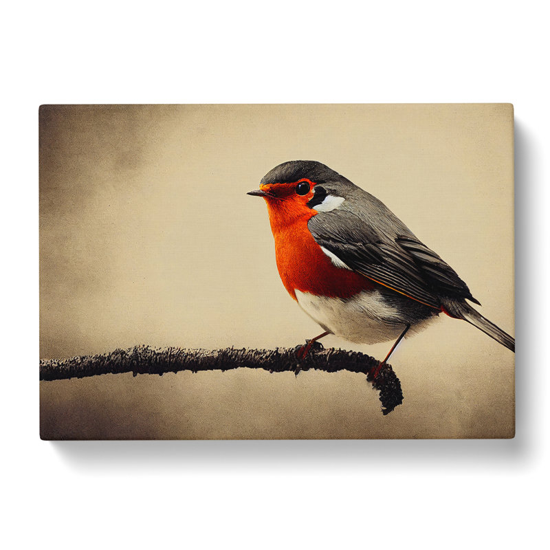 Beautiful Robin Bird - Wrapped Canvas, 35cm H x 50cm W x 3cm D