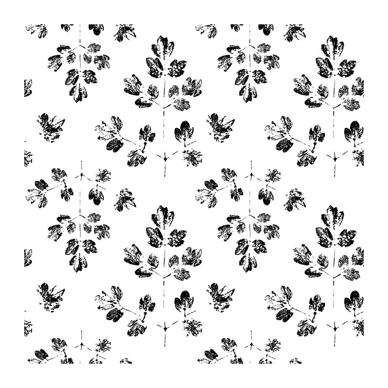Coeburn Matte Mural, 208 x 146cm