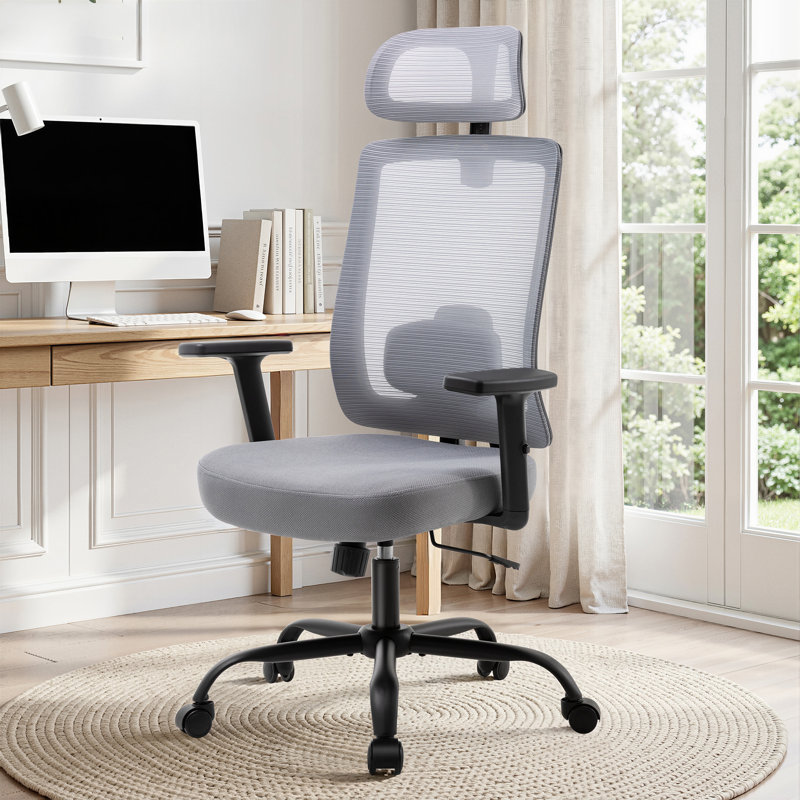 Ergonomic Mesh Office Task Chair, Gray