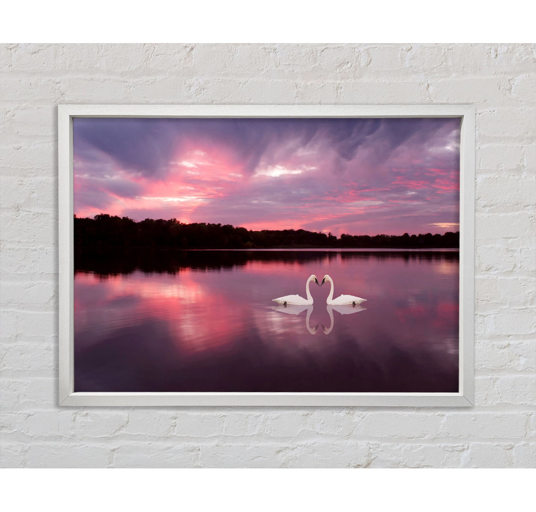 Perfect Swan Waters - Einzelner Bilderrahmen Kunstdrucke auf Leinwand