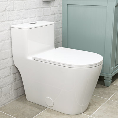 17" Comfort Height Dual-Flush Toilet Modern Elongated One-Piece Toilet for Floor Mounted Glazed Surface (Seat Included)