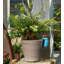 Meuric UV Resistant Stone Garden Statue