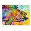 « fish », reproduction d’impression sur toile tendue-24048736