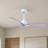 Alessandra 42'' Ceiling Fan-1421734463-1421734367