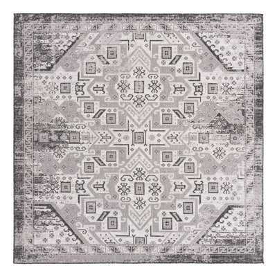Alucard Indoor / Outdoor Rug
