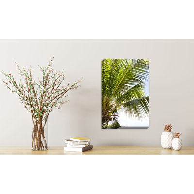 « tropical coco tree », reproduction de photo