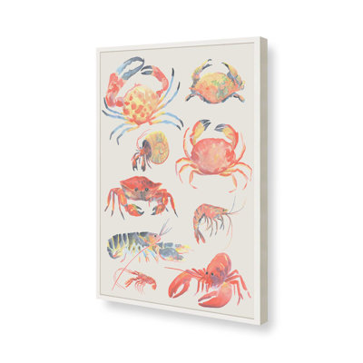 Crustacean Collection I by June Erica Vess Canvas Art Print