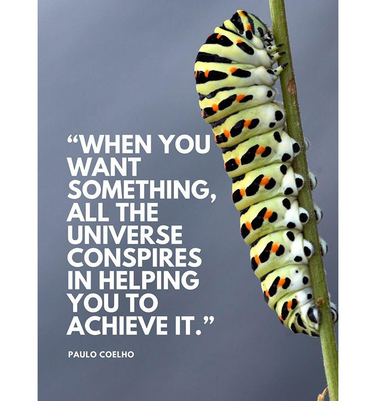 Art sur toile tendue de Trinx ArtsyQuotes, titre: Paul Coelho, H 18 po x l 15 po