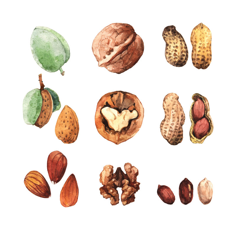 Culinary Nuts - Wrapped Canvas Painting, 30cm H x 30cm W x 3.8cm D