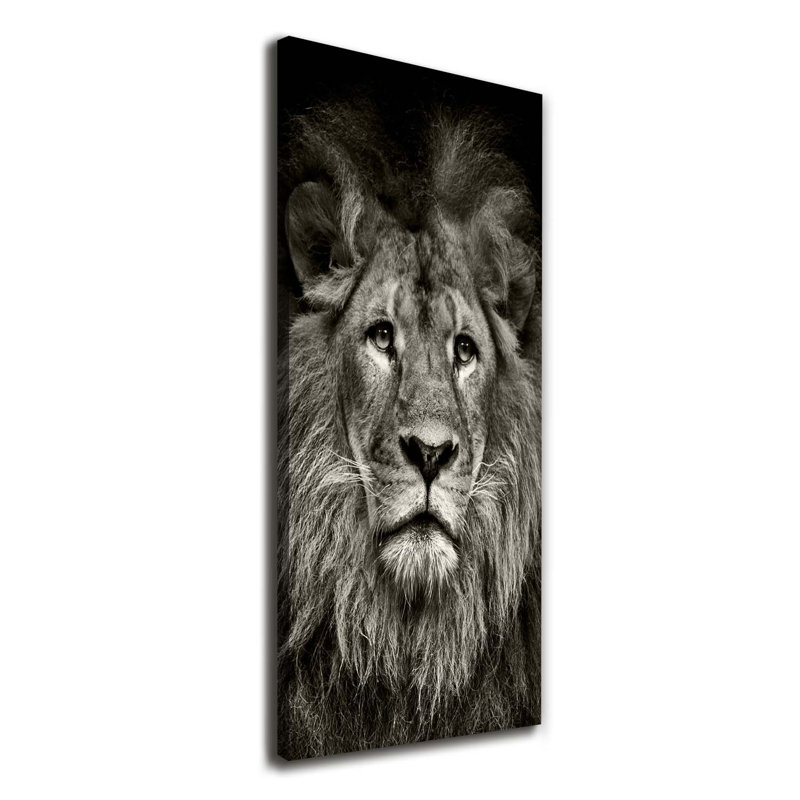 Lion - Wrapped Canvas Print